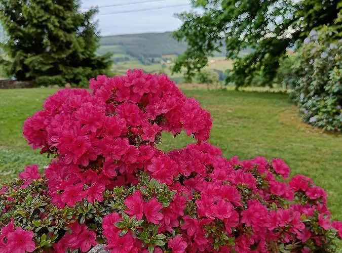 Les Tcheous Bed & Breakfast