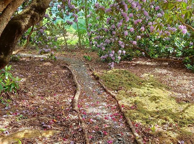 Bed & Breakfast Les Tcheous