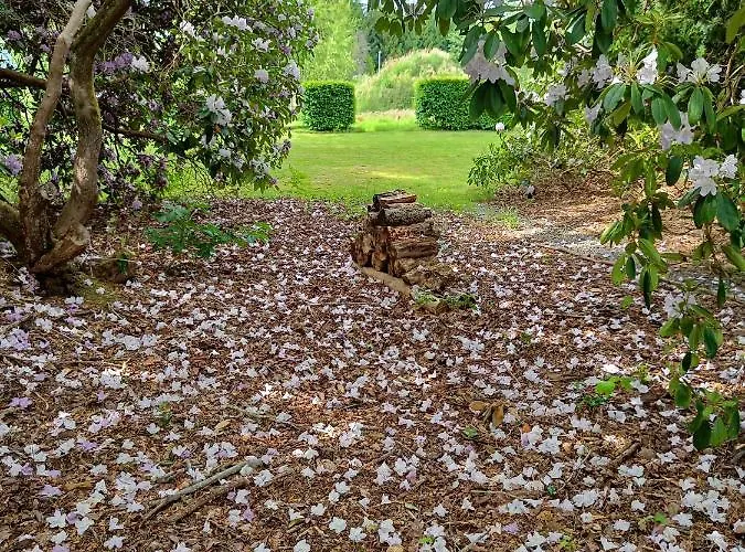 Les Tcheous Bed & Breakfast 3*